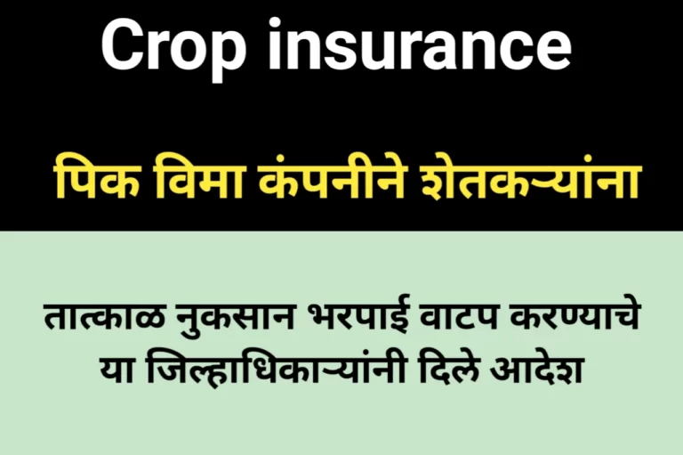 Crop insurance: पिक विमा कंपनीने शेतकऱ्यांना तात्काळ नुकसान भरपाई वाटप करण्याचे या जिल्हाधिकाऱ्यांनी दिले आदेश